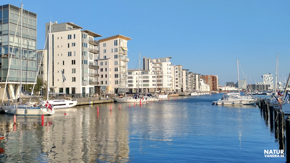 Vandring längs hamnen och byggnader från bostadsutställningen H99 i Helsingborg och Öresund i Skåne