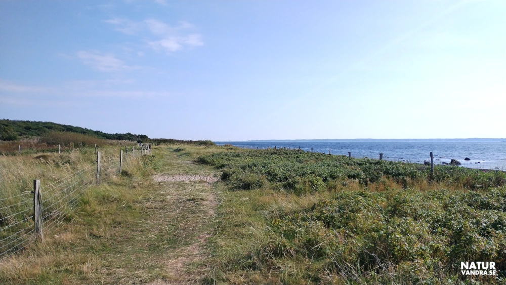 Domsten Viken naturreservat i Skåne