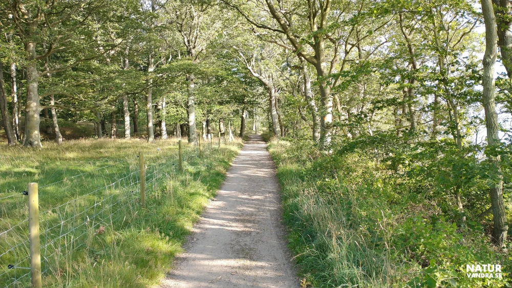 Ekskog Kulla Gunnarstorps naturreservat i Skåne