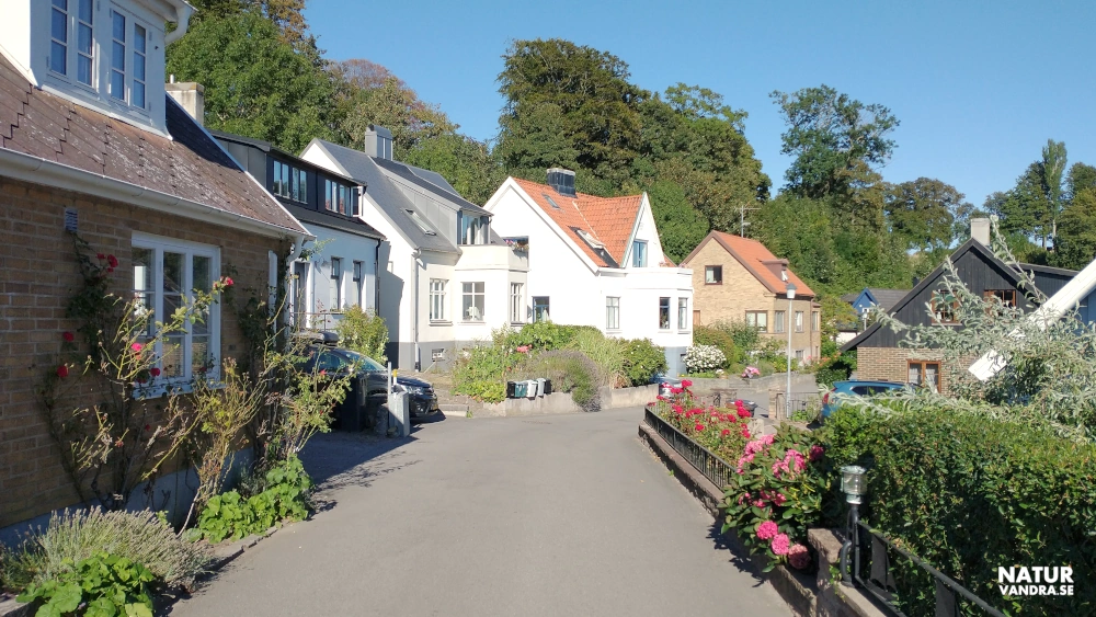 Gata med hus längs Ålabodarna