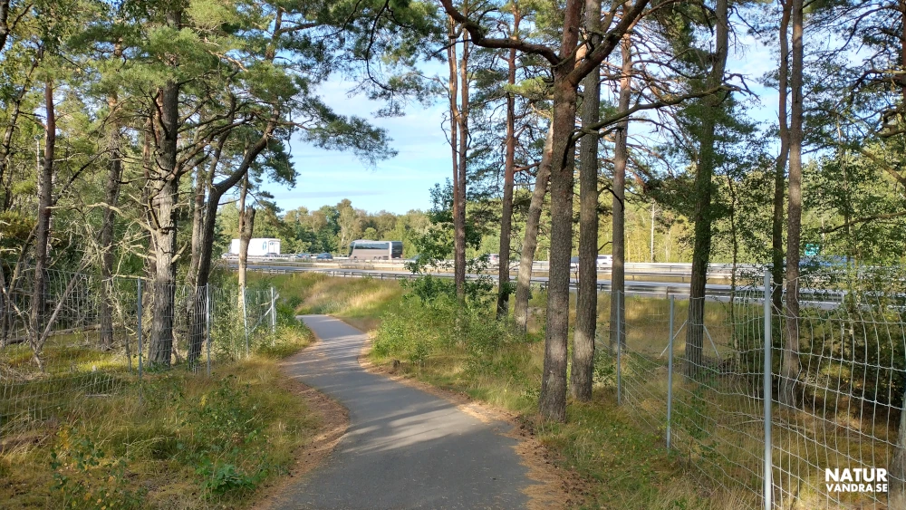 Gång- och cykelväg genom skogen i Hökafältet