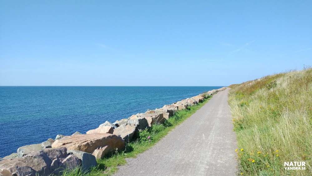Utblick mot havet vid Höganäs