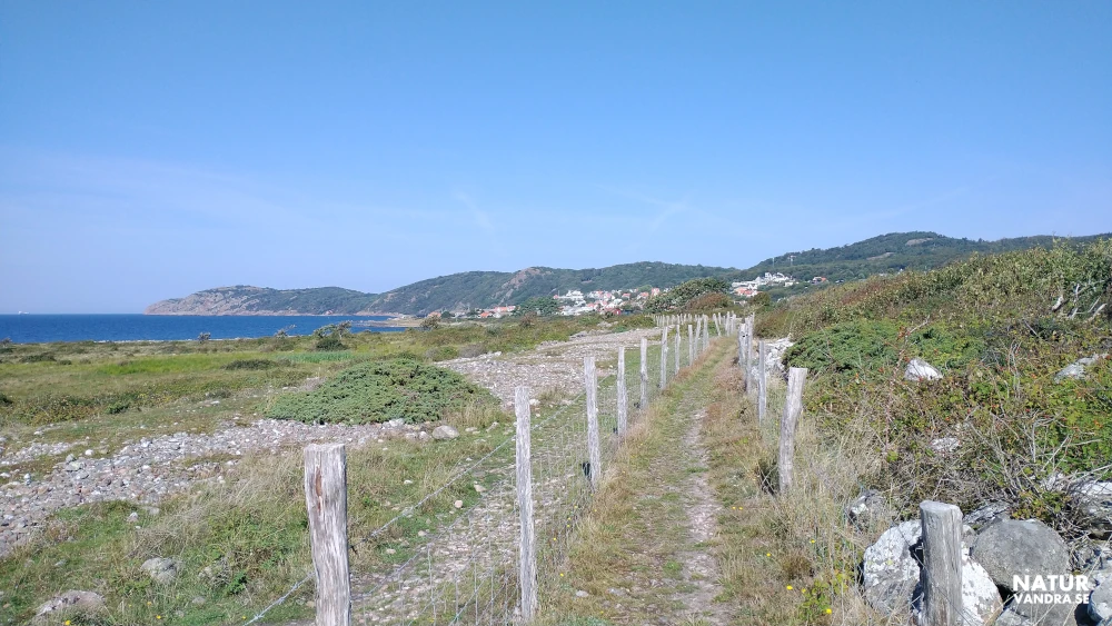 Hedlandskap Möllehässle naturreservat Skåne