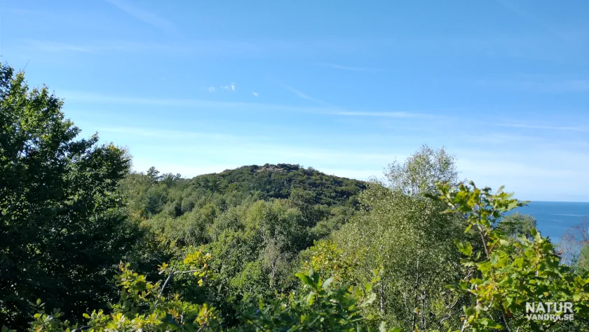 Kullabergs naturreservat i Skåne 