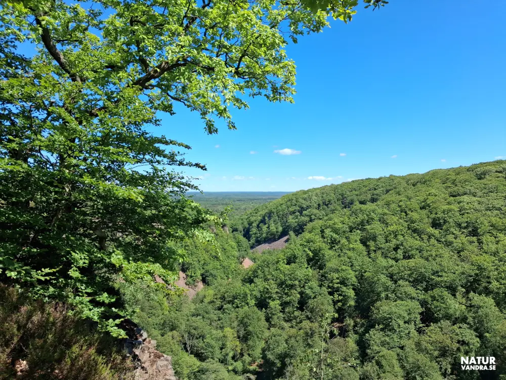Utsikt från Kopparhatten på Söderåsens nationalpark