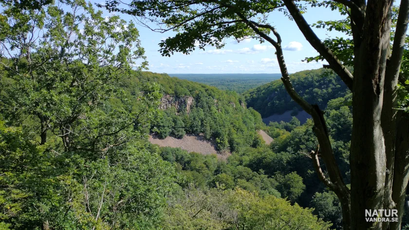 Utsikt från Kopparhatten på Söderåsens nationalpark