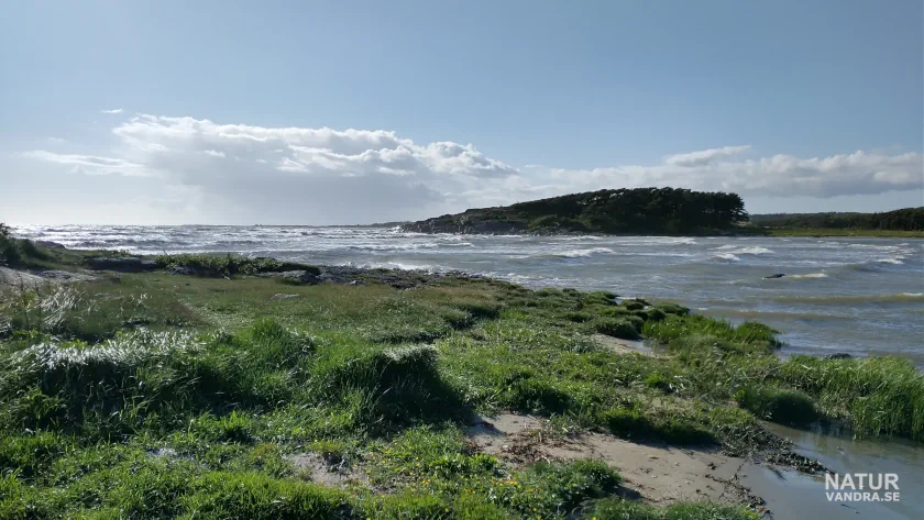 Vandring Långasand Pålsviken Vesslunda naturreservat Halland