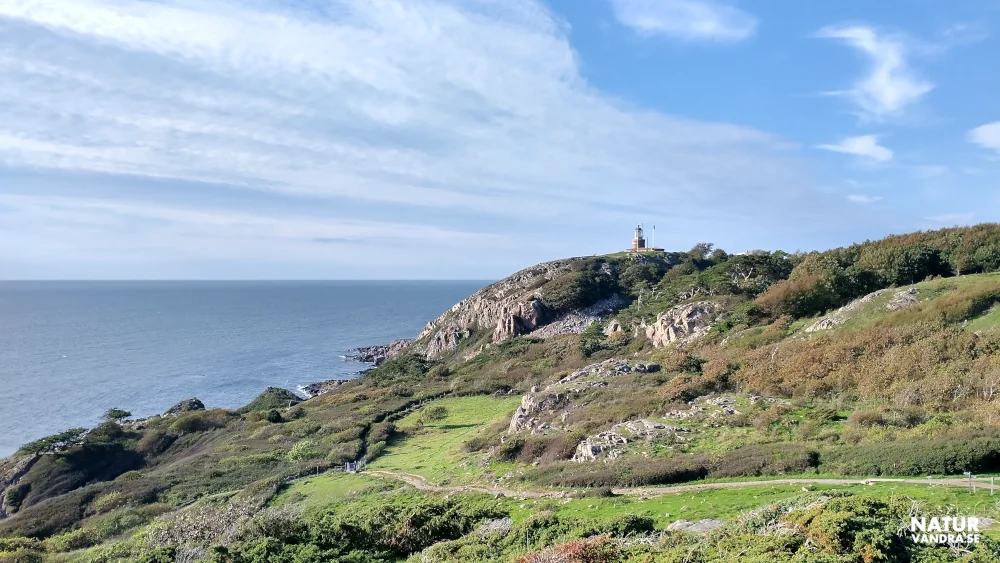 Naturen på Kullabergs naturreservat