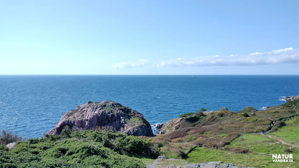 Södra sidan av Kullabergs naturreservat