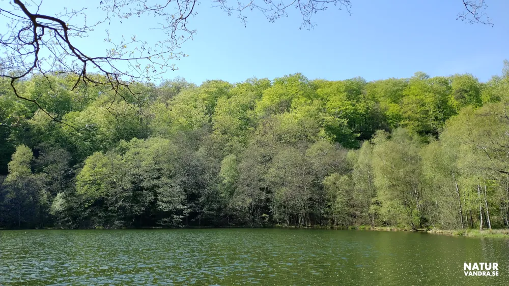 Odensjön Söderåsens nationalpark