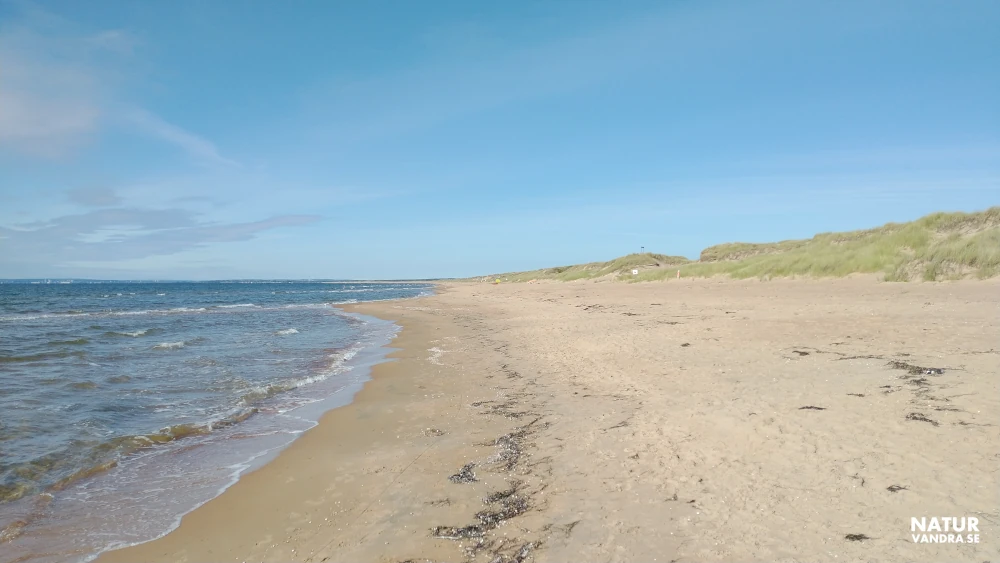 Vandring längs stranden vid Mellbystrand