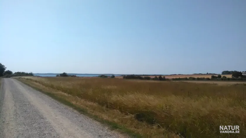 Väg längs öppet landskap på ön Ven i Öresund