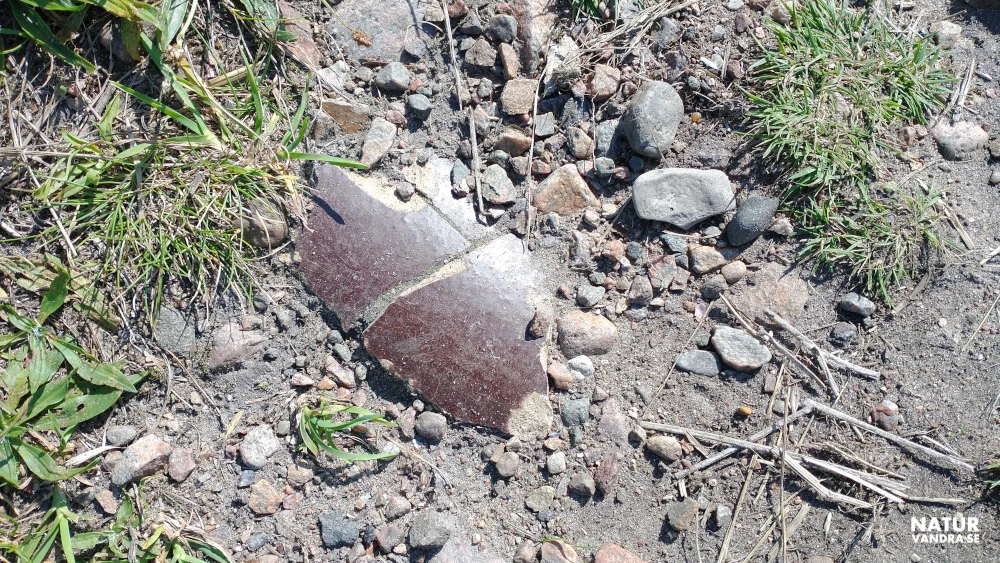 Skärva från Höganäs keramik i Skåne