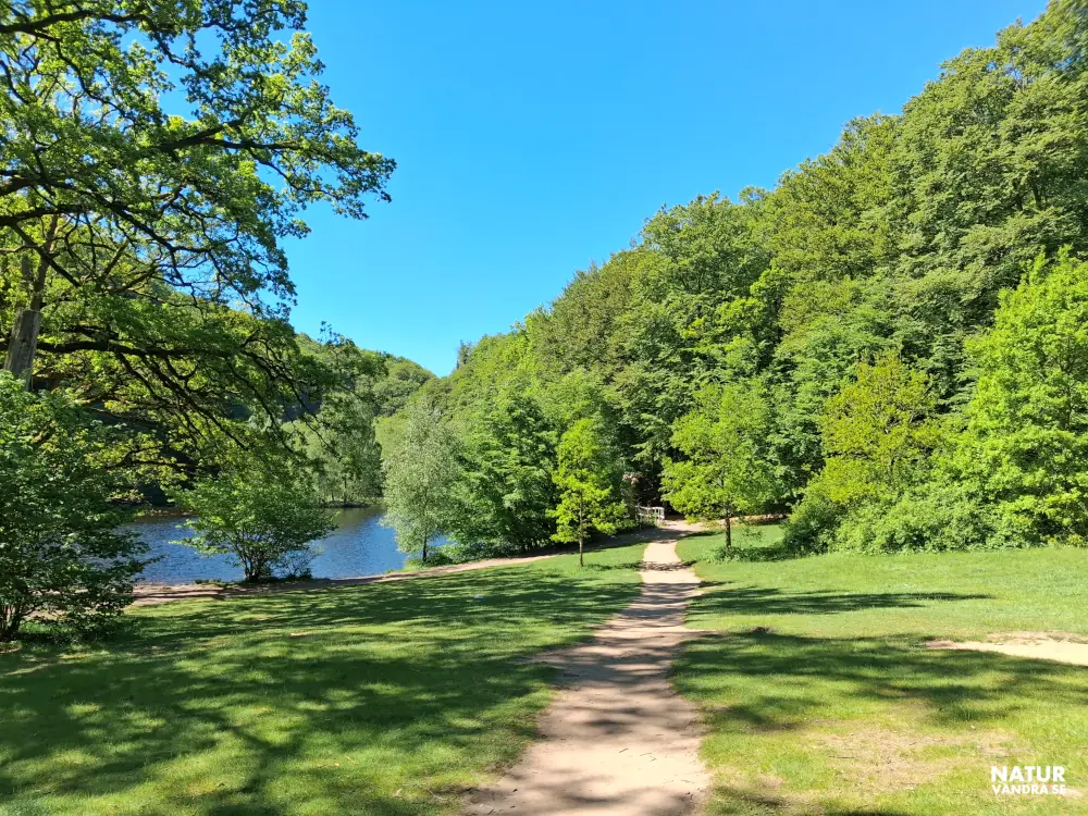Parken och Skärdammen vid Söderåsens nationalpark