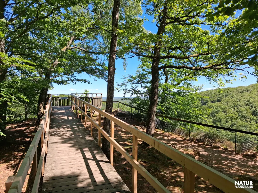 Spång till utsiktsplatsen vid Kopparhatten Söderåsens nationalpark
