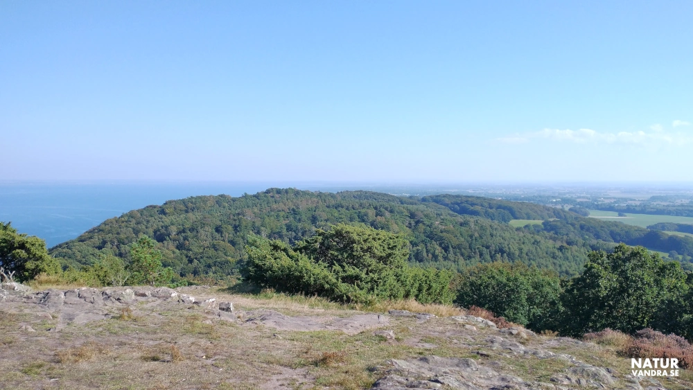 Utsikt från Håkull på Kullabergs naturreservat norra sidan