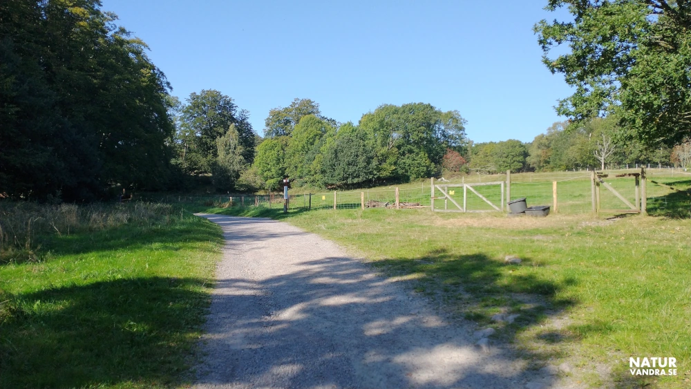 Stig mellan parkeringsplatsen och Himmelstorpsgården Kullabergs naturreservat