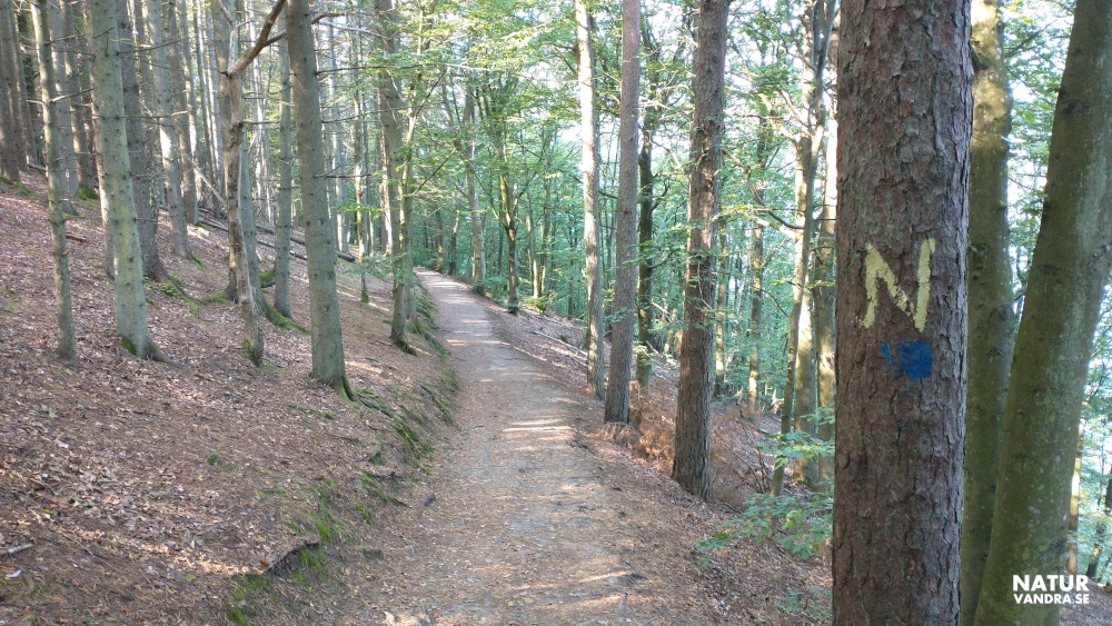 Stig till Nimis på Kullabergs naturreservat