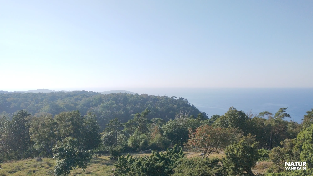 Utsikt mot havet nära Ona mosse på Kullabergs naturreservat