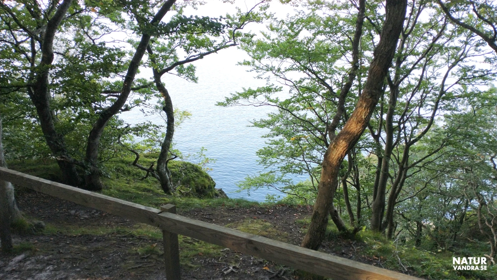 Utblick över havet i närheten av Josefinelust på Kullabergs naturreservat