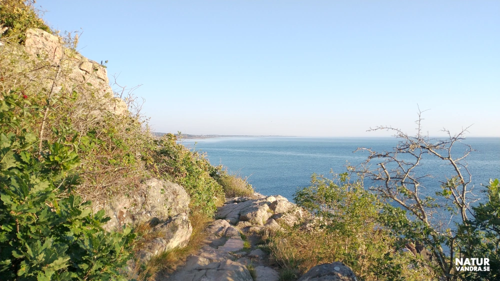 Stig mellan Solviken strand och Ransvik på Kullabergs naturreservat