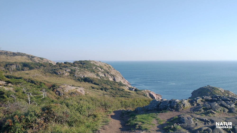 Utblick mot söder och havet från Kullabergs naturreservat