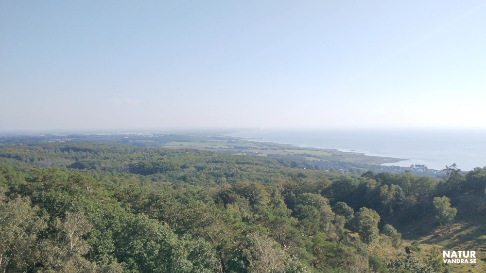 Utsikt från Norra Ljungås på Kullabergs naturreservat mot söder och Öresund