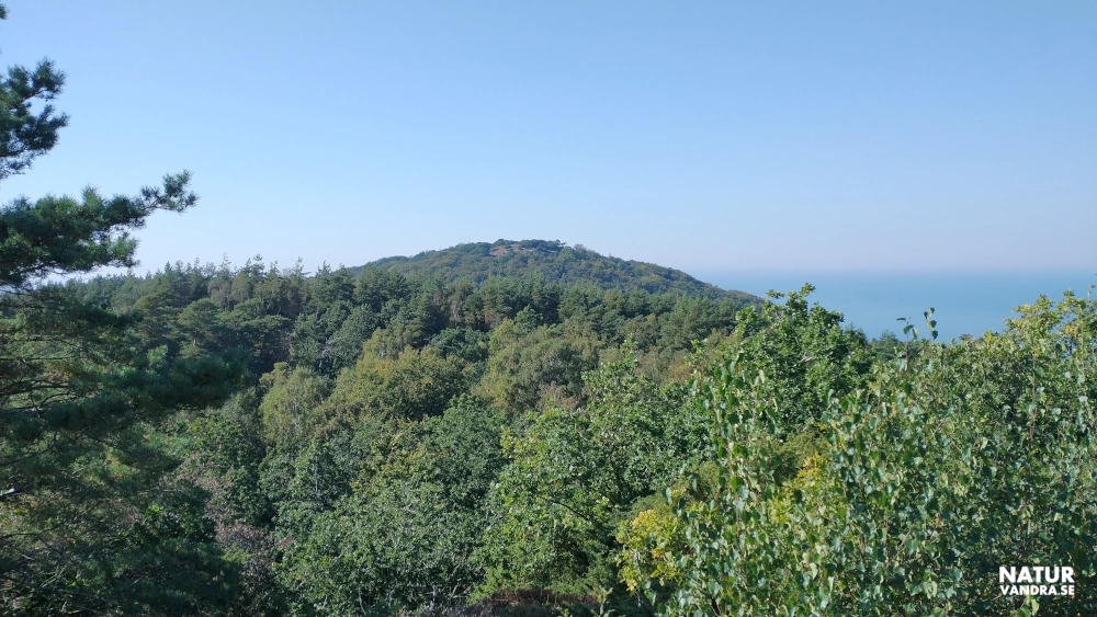 Utsikt från Sadeln på Kullabergs naturreservat
