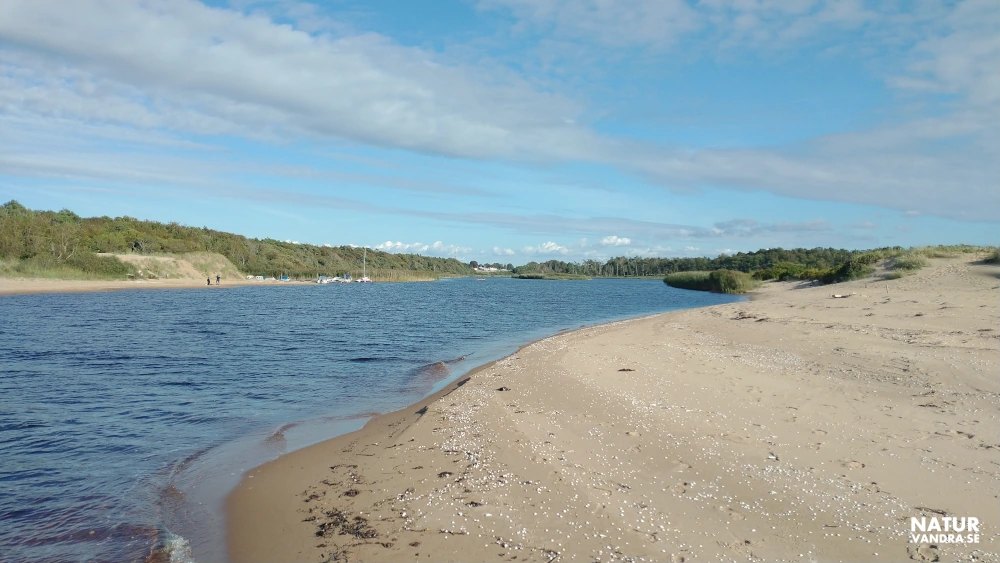Lagans mynning vid stranden Mellbystrand