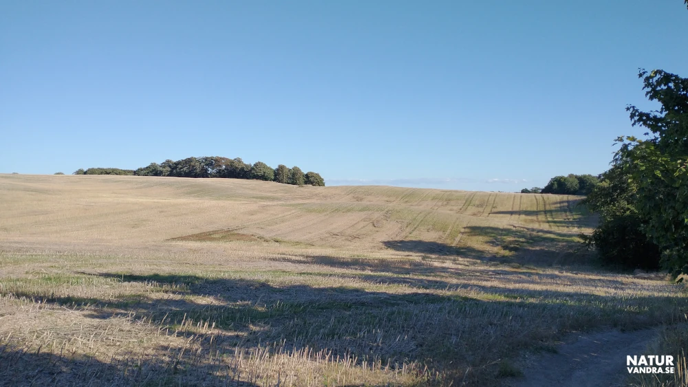 Landskap Hilleshögs dalar