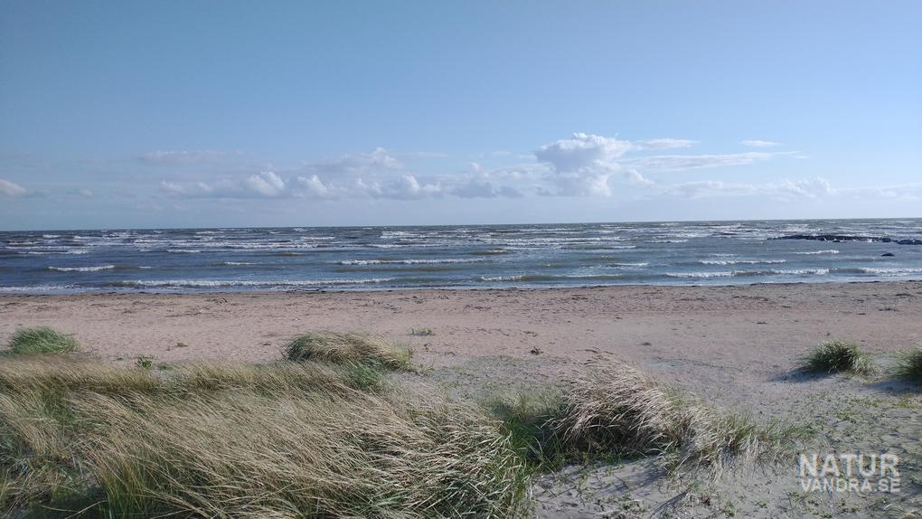Stranden vid Långasand Halland