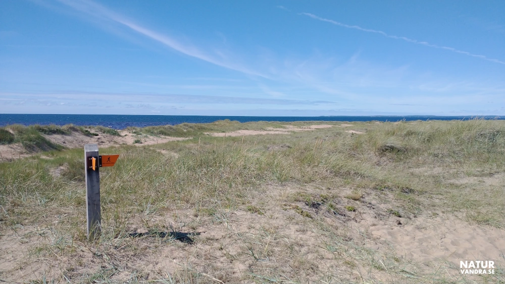 Markering vandringsled längs Laholmsbukten