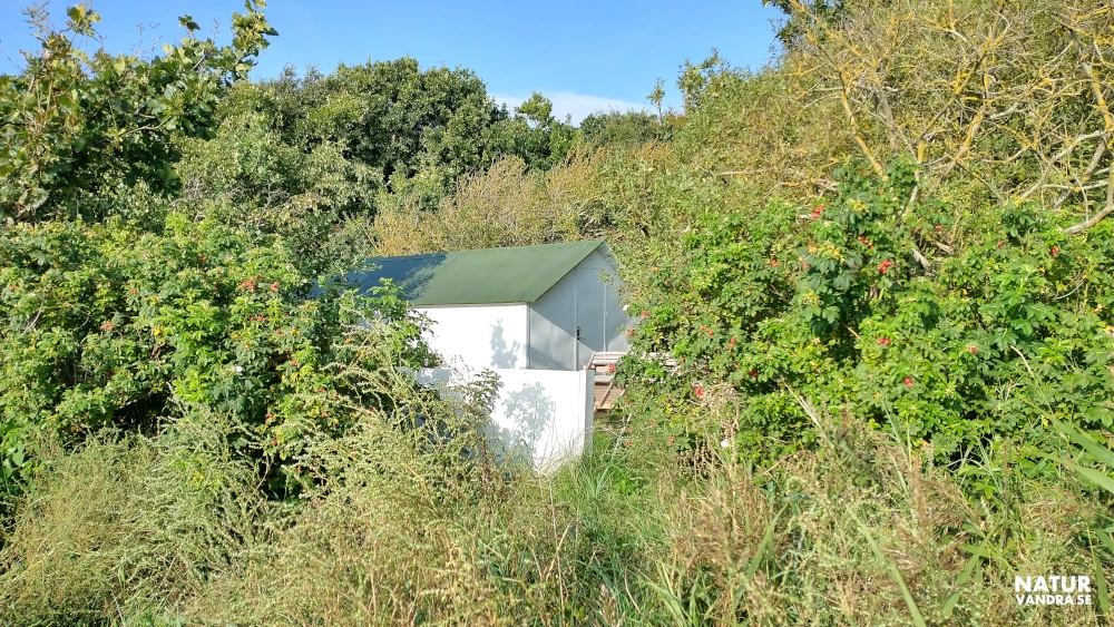 Masonitbyn Domsten i Skåne