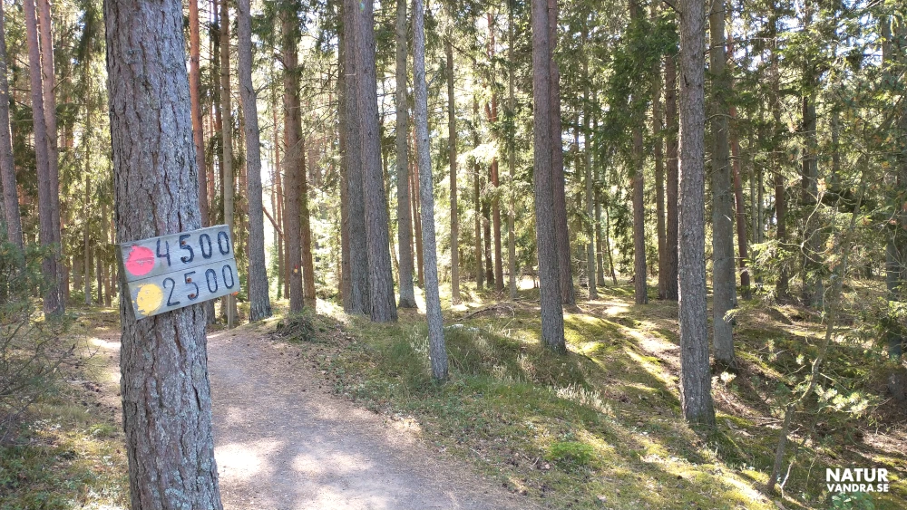 Motionsslinga Hökafältet