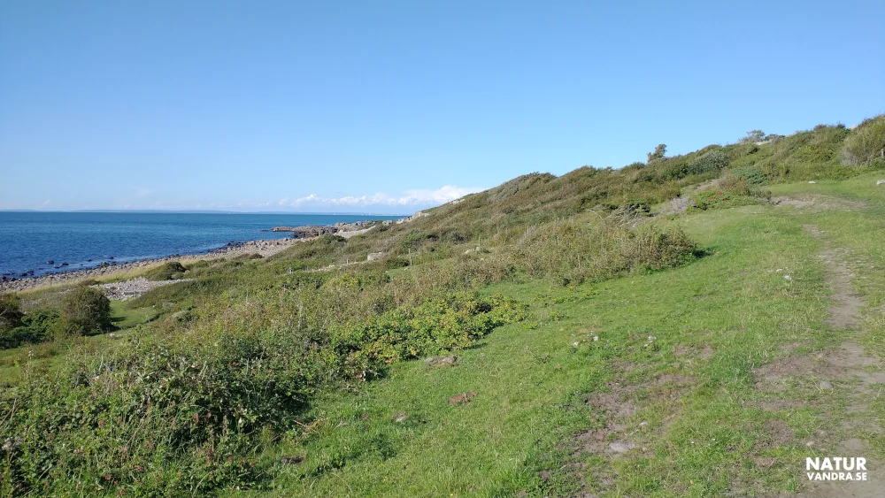 Stig mot Hovs Hallar