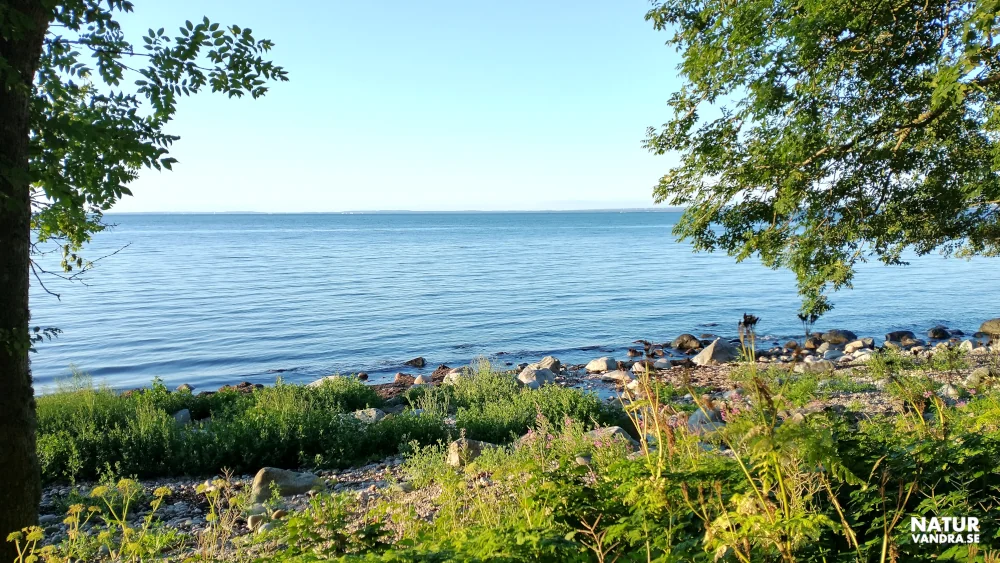 Utsikt över havet Laholmsbukten