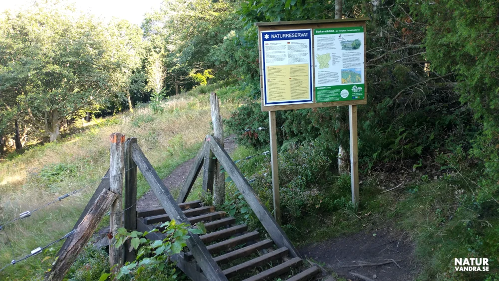 Naturreservat Bjärekusten