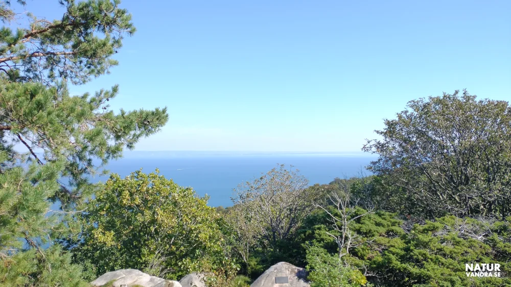 Gregers backar Kullabergs naturreservat i Skåne