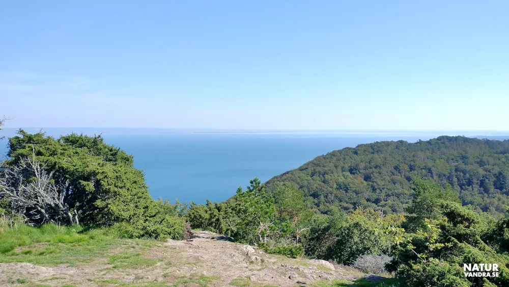 Håkull Kullabergs naturreservat i Skåne