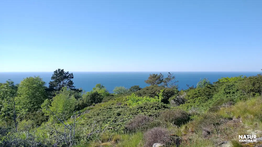 Utsikt från Gregers backar Kullabergs naturreservat Skåne
