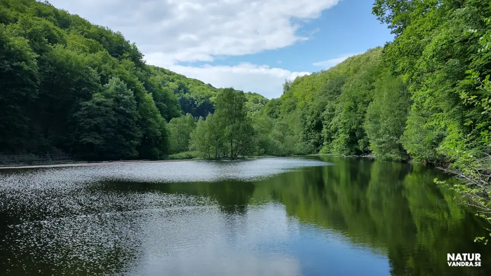 Skärdammen Söderåsens nationalpark