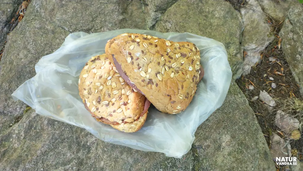 Fikapus Söderåsens nationalpark Skåne