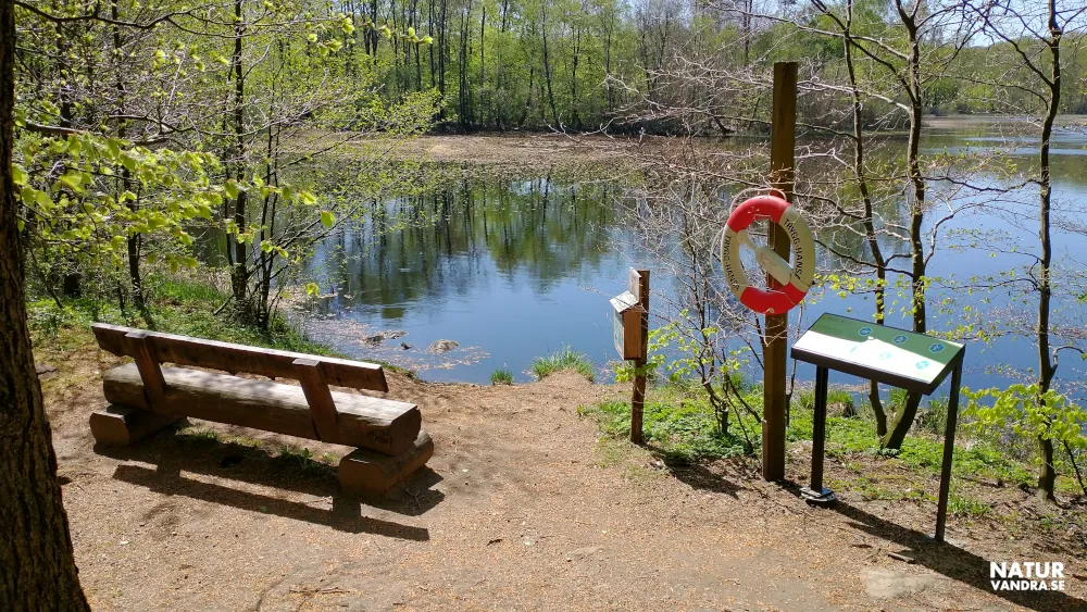 Härnäsdammarna Söderåsens nationalpark Skåne