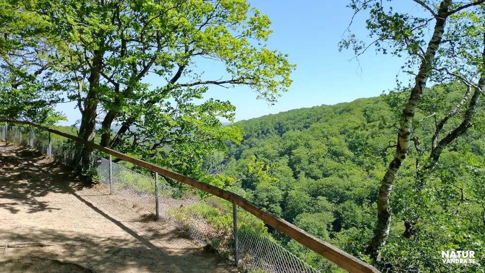 Utsikt Kopparhatten Söderåsens nationalpark Skåne