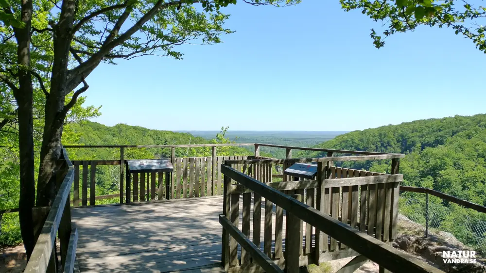 Utsiktsplats Kopparhatten Söderåsens nationalpark