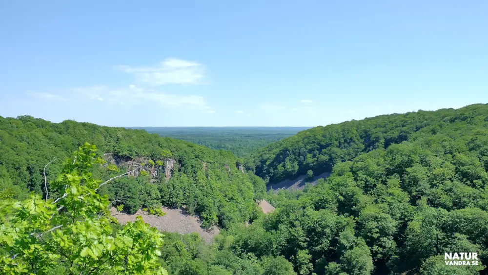Utsiktsplats Kopparhatten Söderåsens nationalpark
