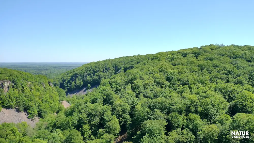 Utsikt Kopparhatten Söderåsens nationalpark Skåne