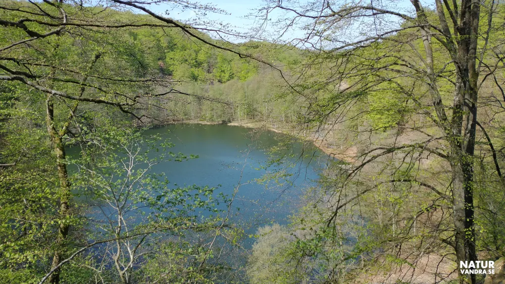 Odensjön Söderåsens nationalpark Skåne