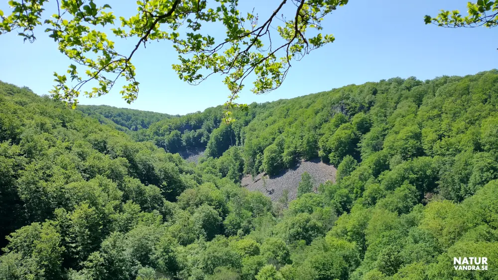 Utsikt mot Kopparhatten Söderåsens nationalpark Skåne
