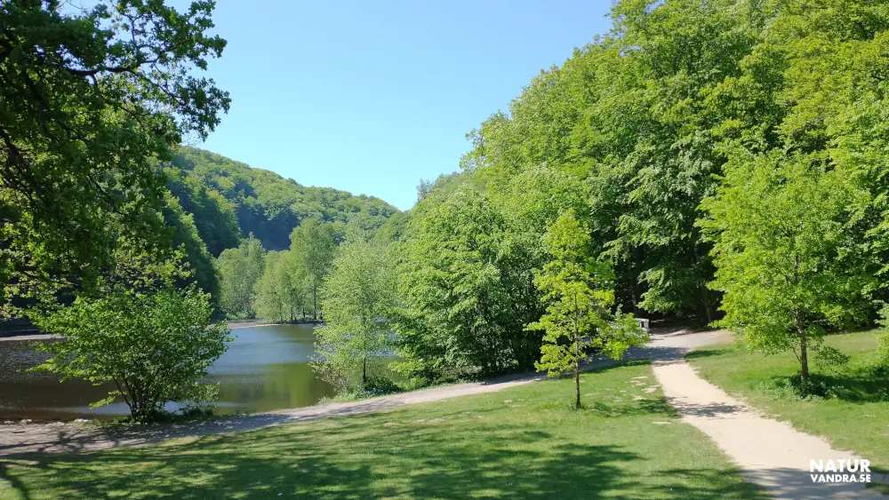 Skärdammen Söderåsens nationalpark Skåne